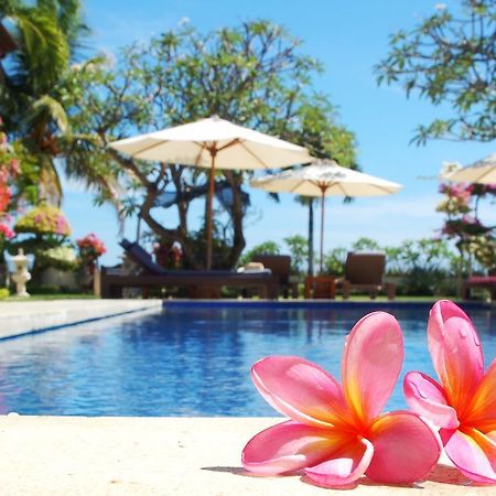Frangipani Beach Hotel Ловіна Екстер'єр фото
