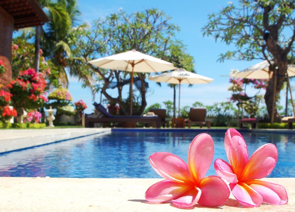 Frangipani Beach Hotel Ловіна Екстер'єр фото
